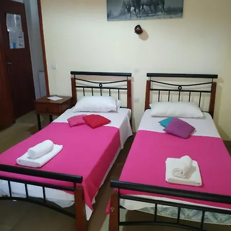 Guest house Flowers *