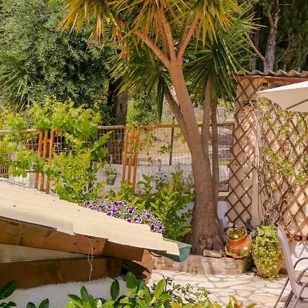 Flowers ゲストハウス