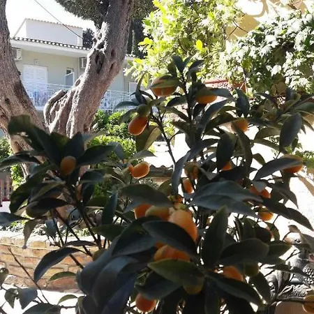 Flowers Πανσιόν *