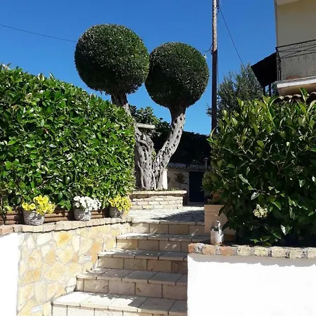 Flowers Πανσιόν *