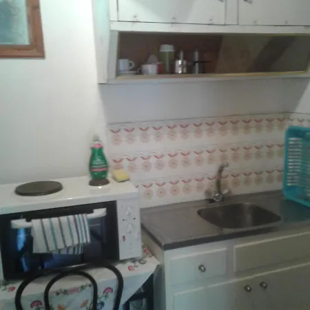 Πανσιόν Flowers