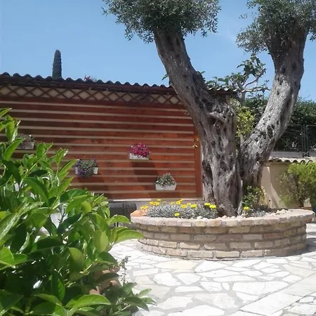 Πανσιόν Flowers *