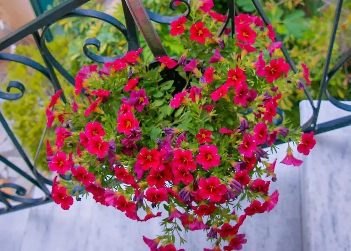 Flowers Gasthuis